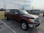 2010 Ford F-150 XL