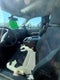 2017 Chevrolet Silverado 3500 HD Chassis Cab Work Truck