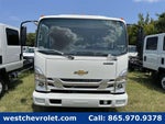 2025 Chevrolet Low Cab Forward 3500 1WT