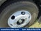 2025 Chevrolet Low Cab Forward 3500 1WT