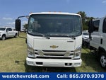 2025 Chevrolet Low Cab Forward 3500 Base