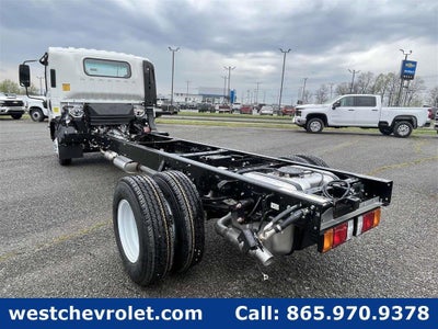 2024 Chevrolet Low Cab Forward 3500 Base
