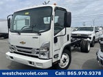 2024 Chevrolet Low Cab Forward 4500 Base