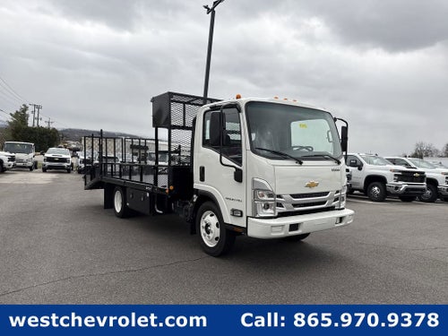 2025 Chevrolet Low Cab Forward 4500 1WT