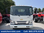 2025 Chevrolet Low Cab Forward 4500 1WT