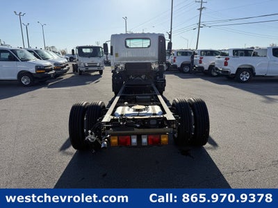2025 Chevrolet Low Cab Forward 5500 XG Base