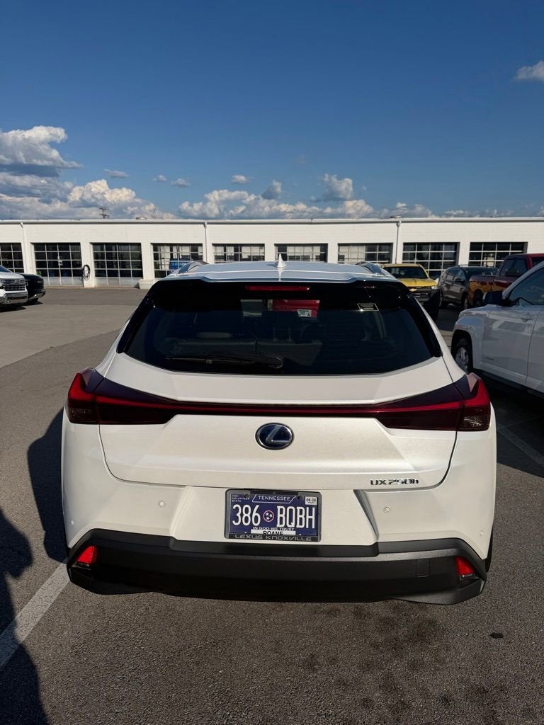 2021 Lexus UX UX 250h