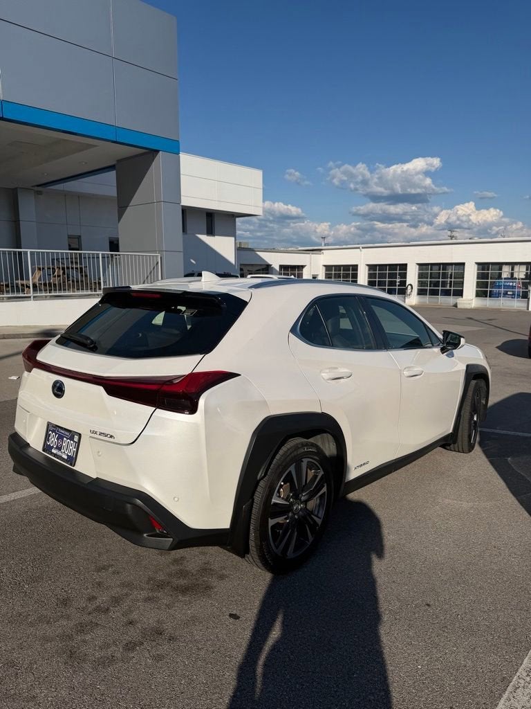 2021 Lexus UX UX 250h