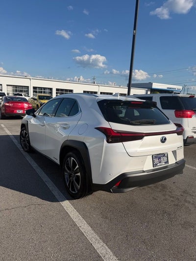 2021 Lexus UX UX 250h